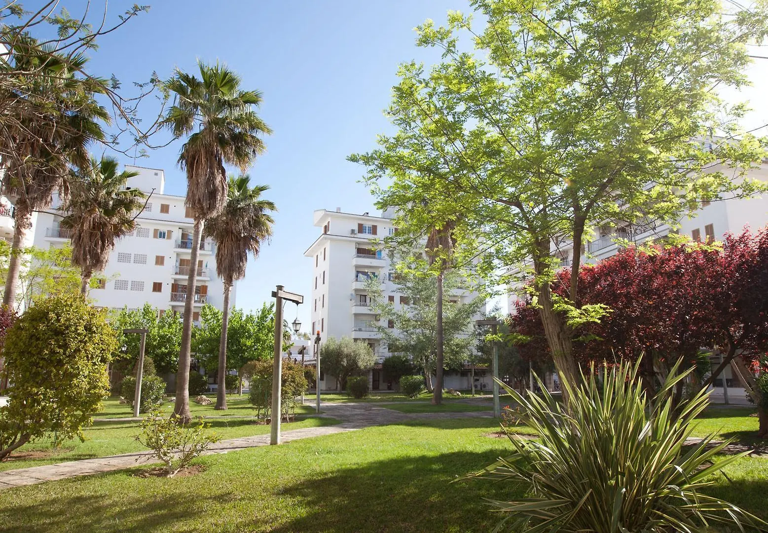 Aparthotel Apartamentos Ferrer Lime Tamarindos Port de Alcudia