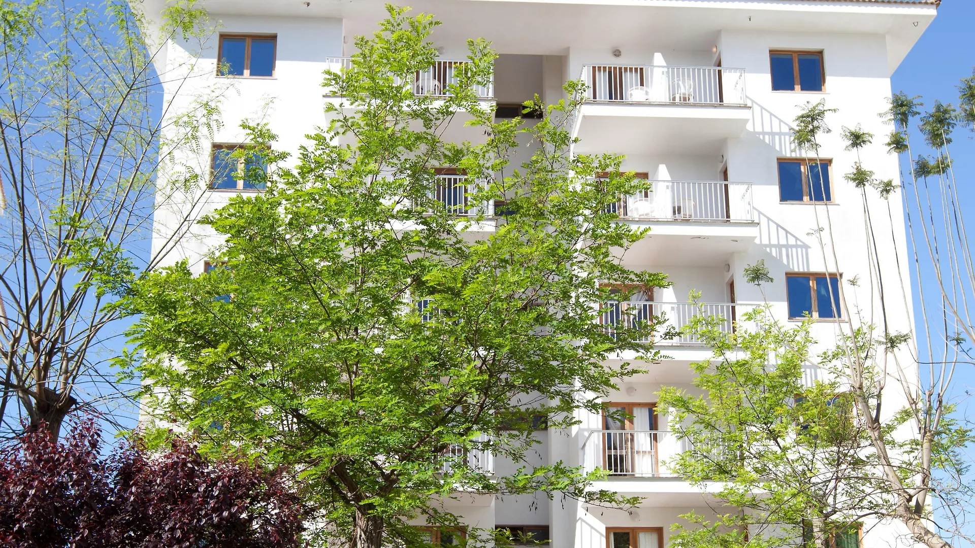 Apartamentos Ferrer Lime Tamarindos Порто де Алькудиа 3*,