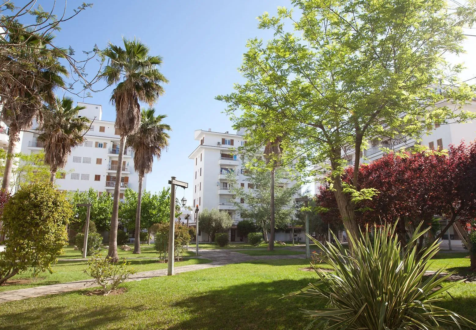 Apartahotel Apartamentos Ferrer Tamarindos Puerto de Alcúdia